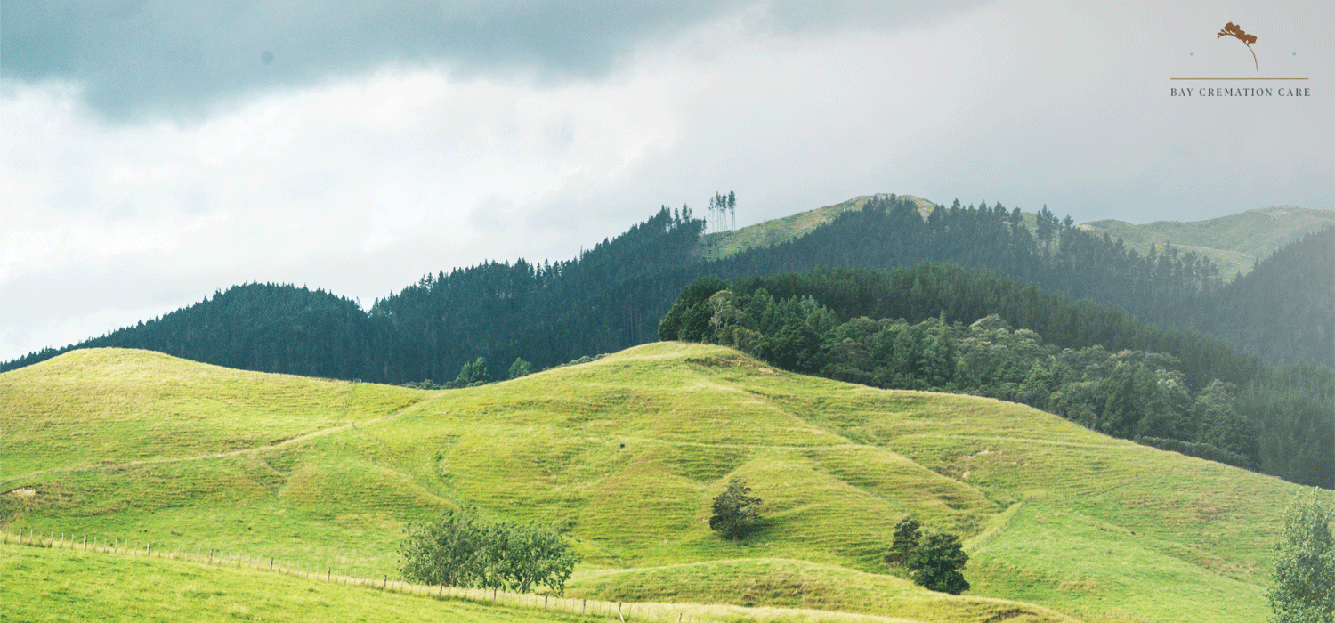 A spot perfect for scattering human ashes