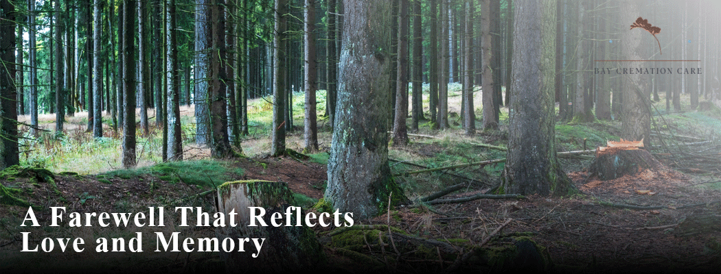 A serene farewell scene under trees, symbolizing love and cherished memories shared between loved ones.